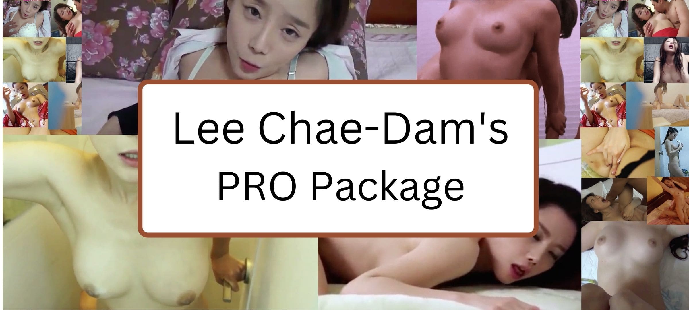 picture of Lee chae dam PRO package banner